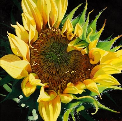 Lot 667 - Chung Shek/Sunflower/signed/oil on canvas,...