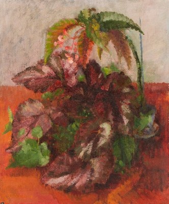 Lot 683 - Constance B Nash (British 1921-2015)/Begonia,...