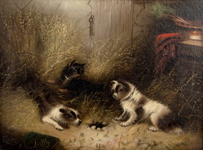 Lot 721 - Manner of George Armfield/Terriers Ratting/oil...