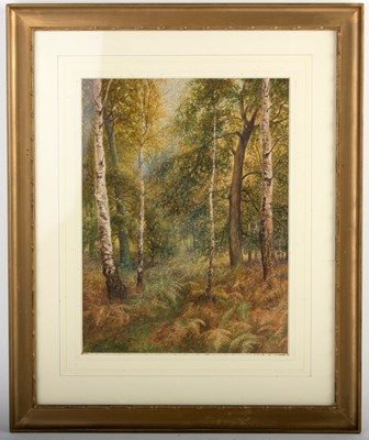 Lot 735 - Albert H Findley (1880-1975)/Woodland...