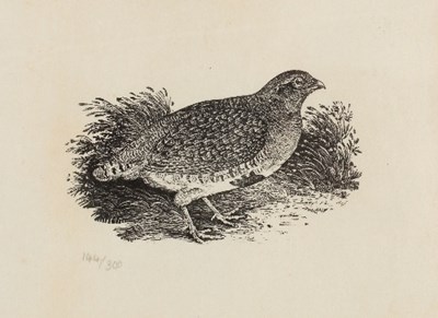 Lot 841 - Thomas Bewick (1753-1838)/Partridge/Lesser...