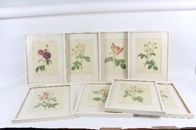 Lot 234 - After Redoute/Studies of Roses/eight colour...