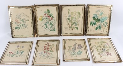 Lot 236 - After Edmund Thomas/Botanical Studies/eight...