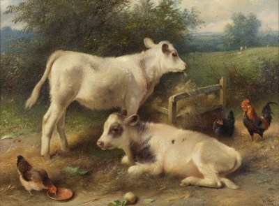 Lot 267 - Walter Hunt (British 1861-1941)/Calves and...