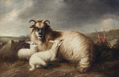 Lot 279 - Colin Graeme Roe (British 1858-1910)/A Sheep...