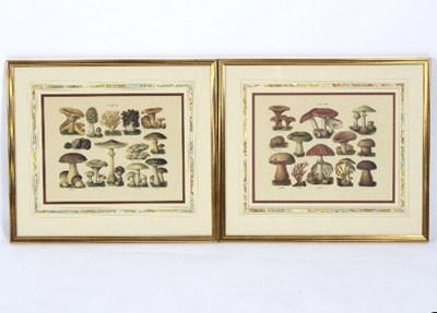 Lot 263 - A pair of polychrome prints of Fungi, each...