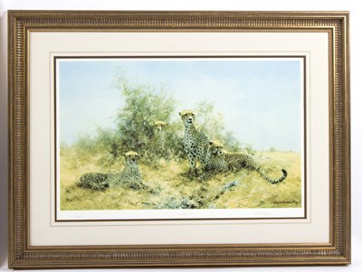 Lot 527 - David Shepherd (British...