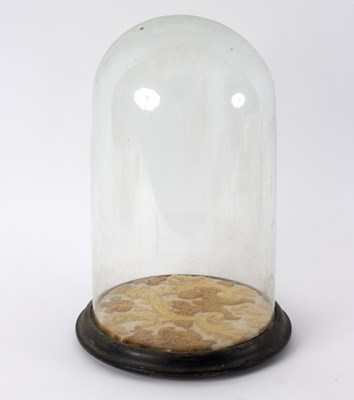 Lot 165 - A glass dome on plinth, 35cm high