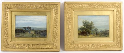 Lot 1009 - 19th Century English School/Landscapes/a...