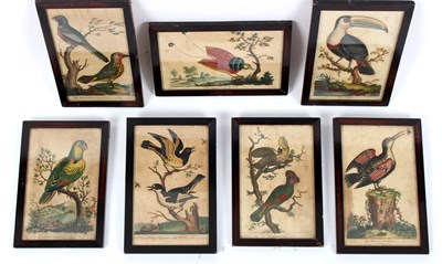 Lot 573 - English School circa 1800/Seven ornithological...