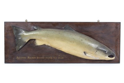 Lot 309 - A reproduction half block Atlantic salmon, the...