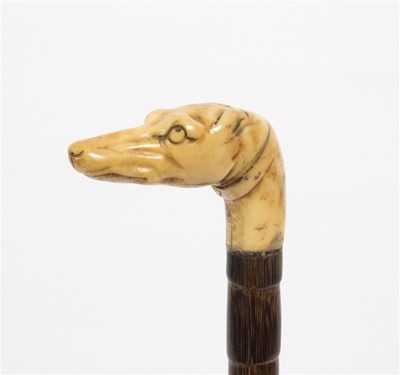 Lot 483 - A cane walking stick, the ivory handle in the...