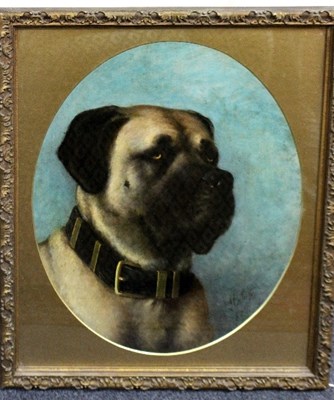 Lot 693 - XX/Portrait of a Bullmastiff/signed/oil on...