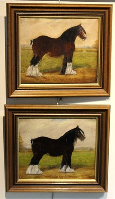 Lot 729 - F T 1921/Four Named Carthorses/oil on canvas,...