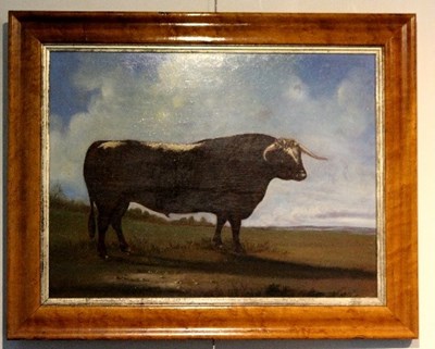 Lot 732 - English Naive School/Longhorn Bull in a...