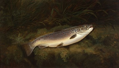 Lot 736 - Thomas G Targett (British 19th Century)/Trout...