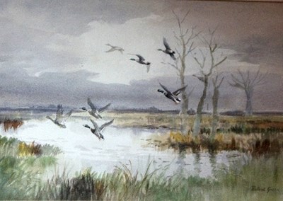 Lot 773 - Roland Green (British 1896-1972)/Mallards in...
