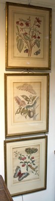 Lot 814 - Bouquet after Turpin and others/Nine Floral...