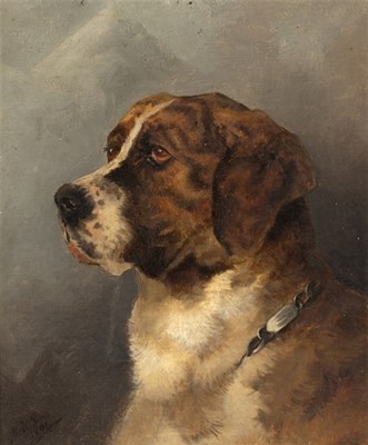 Lot 662 - M K Green (19th/20th Century)/Study of a Dog...