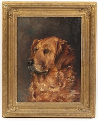Lot 663 - English School circa 1900/Study of a Golden...