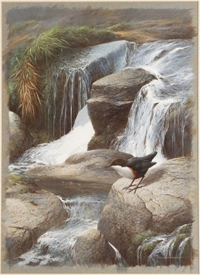 Lot 672 - Raymond Watson (1935-1994)/The Dipper/signed...