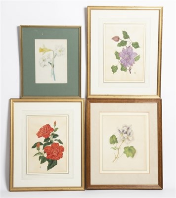 Lot 707 - English School, circa 1830/Botanical...