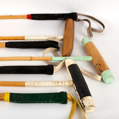 Lot 128 - Eight polo sticks, various