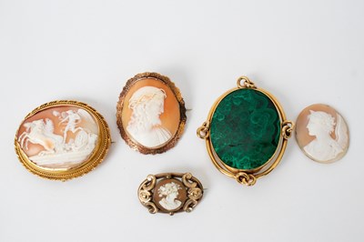 Lot 704 - A 19th Century carved shell cameo brooch...