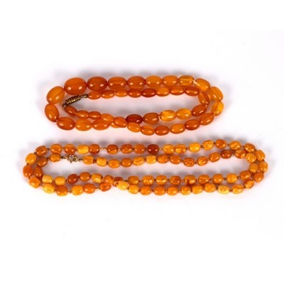 Lot 31 - A single row of Baltic amber barrel shaped...