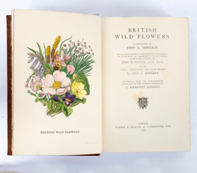 Lot 104 - Sowerby (J E) British Wild Flowers, Gurney &...