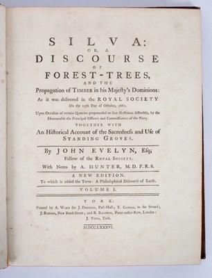 Lot 108 - Evelyn (J) Silva or a Discourse of Forest...