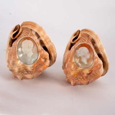 Lot 445 - Two shells, each carved an oval Classical...