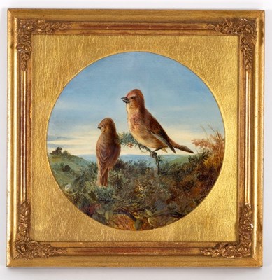 Lot 828 - James Bradley/Finches in Gorse/tondo/oil on...