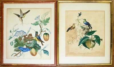 Lot 898 - 18th Century School/Humming Birds with Nest in...