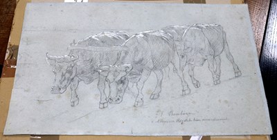 Lot 1018 - John-Lewis Shonborn (1852-1931)/Study of an...