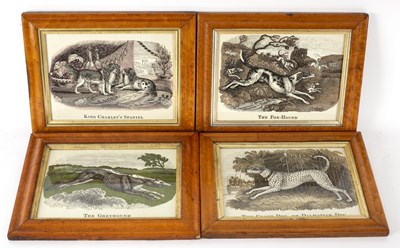 Lot 1048 - 19th Century School/Four canine prints/in...