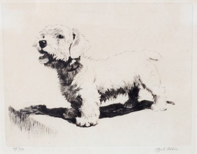 Lot 1049 - Cecil Aldin (British 1870-1935)/Study of a...