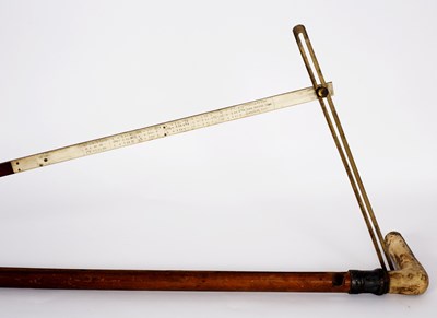 Lot 578 - An Edwardian walking stick with spirit level...