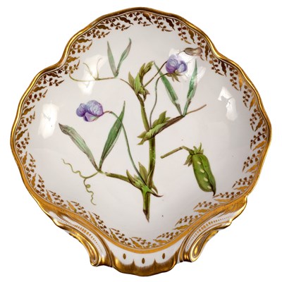 Lot 379 - A Derby botanical shell-shaped dessert dish,...