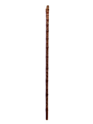 Lot 492 - A Chinese walking stick, circa 1850, with dog...