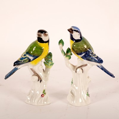 Lot 176 - Late 19th Century Meissen birds, blue tit and...