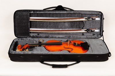 Lot 567 - A violin by Strunal, Czech Republic, no 3370,...