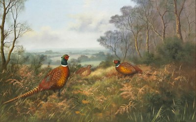 Lot 640 - W Reeve (Contemporary)/Pheasant in a...