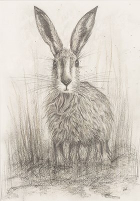 Lot 863 - W W (Scottish Contemporary)/Hare...