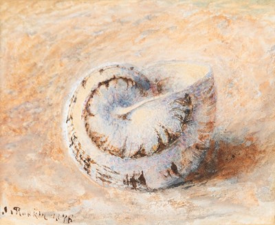 Lot 944 - John Ruskin (1819-1900)/Study of a Snail...