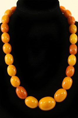 Lot 187 - A single row of graduated Baltic amber beads...