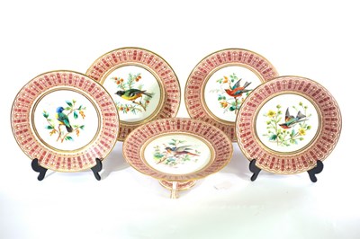 Lot 315 - A Derby Crown porcelain ornithological dessert...