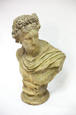 Lot 807 - A plaster bust of the Apollo Belvedere, 84cm high