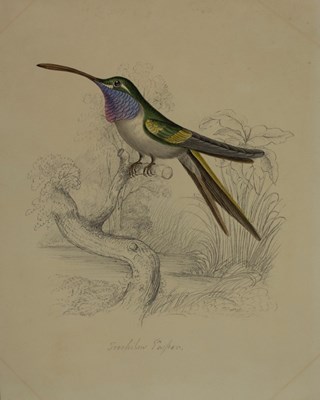 Lot 879 - A folio of 19th Century watercolours to...