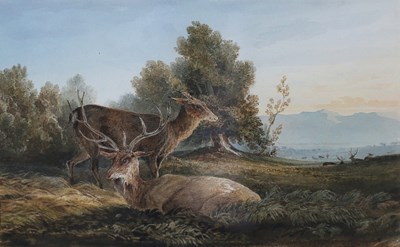 Lot 902 - Newton Fielding (1799-1856)/Stag and...